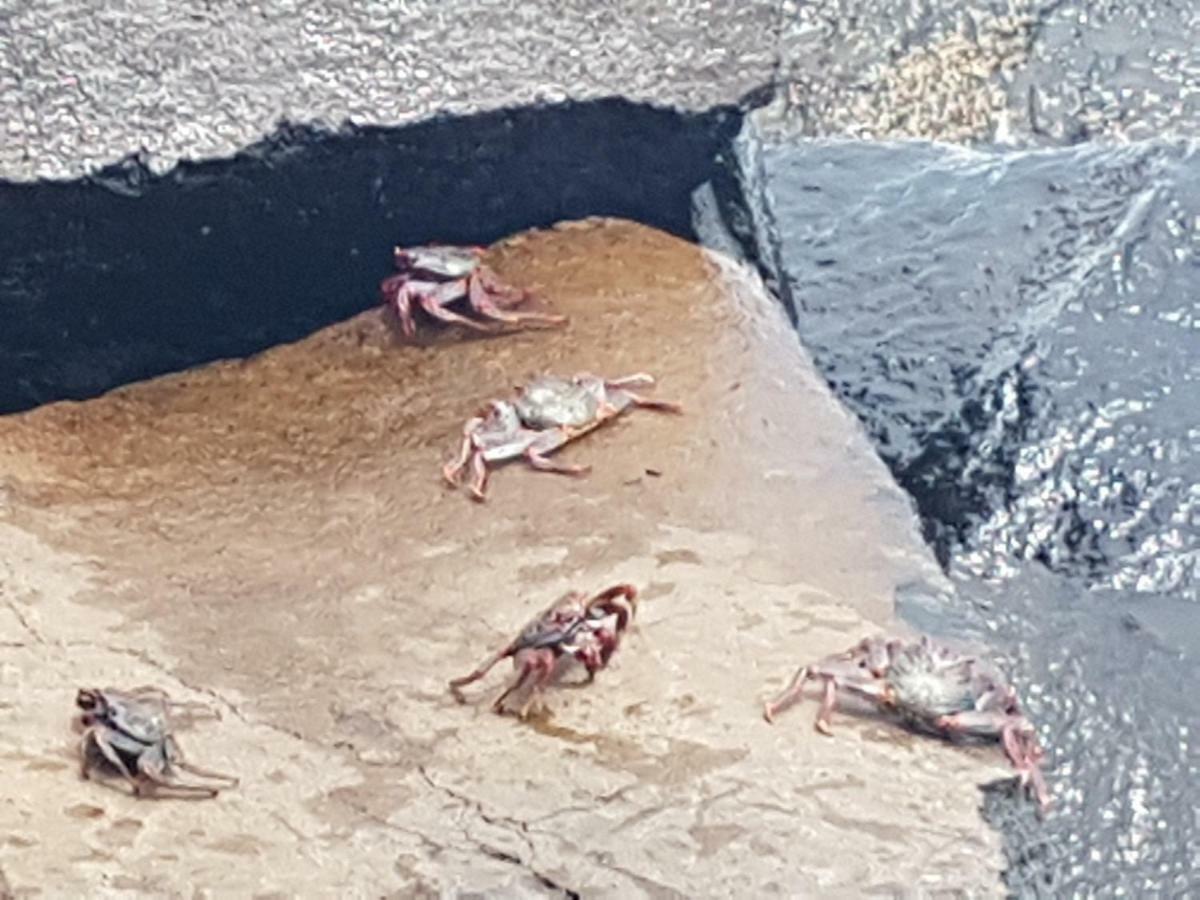B&B La Caleta Zimmer 1 La Mareta Zewnętrze zdjęcie